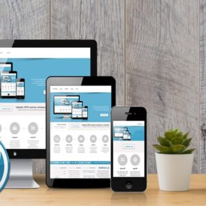 سایت وردپرس vip طواحین وب